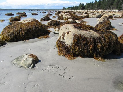 Nova Scotia, Port Joli, Peninsular, beach days, beach combing, sandy beach holiday