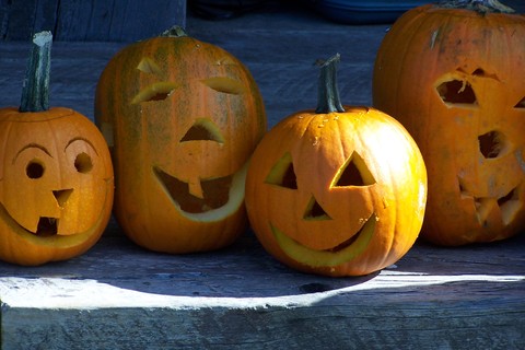 shelburne, county, pumpkin, festival, fall, biggest pumpkin