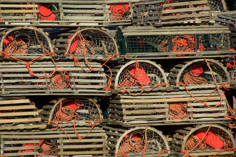 lobster, lobster fishing, nova scotia lobster, lobster fishing nova scotia, nova scotia vacation ideas, things to do in Nova Scotia
